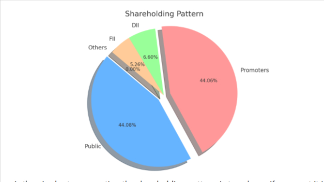 RattanIndia Power Share Ltd Shareholding Pattern Chart